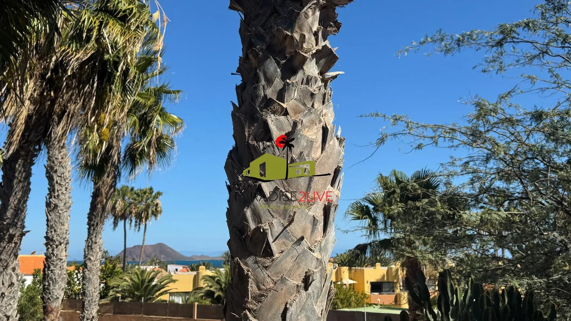 Casita Mosaico Apartamento Corralejo Espanha