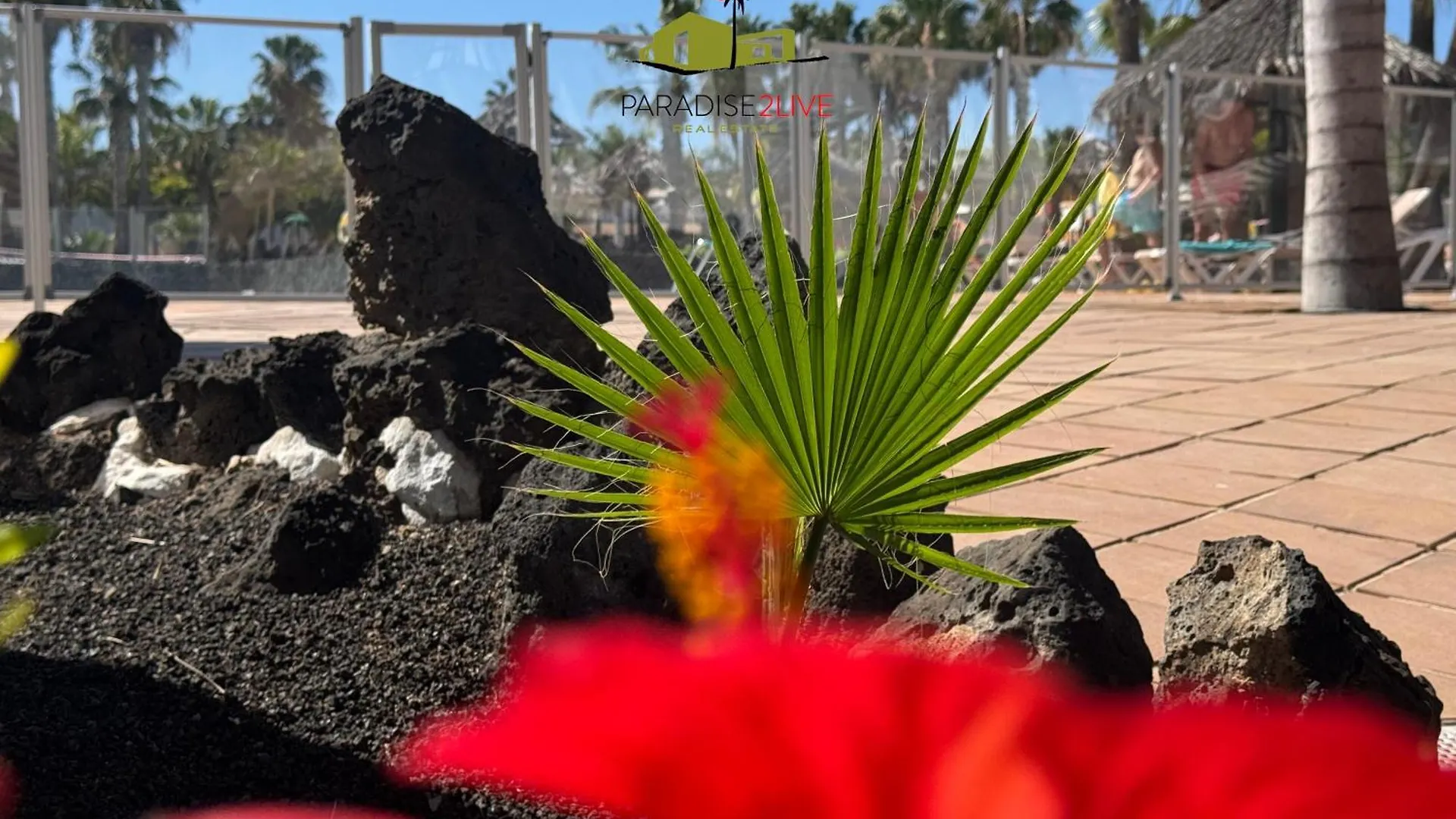 Casita Mosaico Apartamento Corralejo